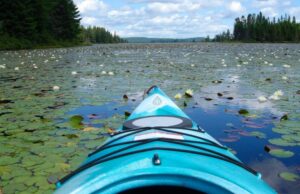 kajakpaddling