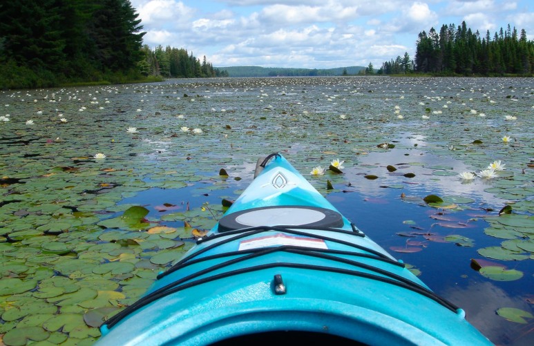 kajakpaddling